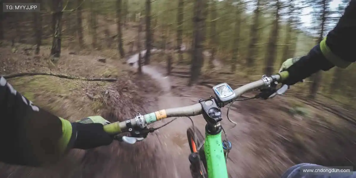 🎯 球星同款，即刻拥有！体育周边商城，解锁你的专属热爱！